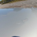 1485769-15 Jaguar Mark 2 2.4 XK, 120hk -1964
