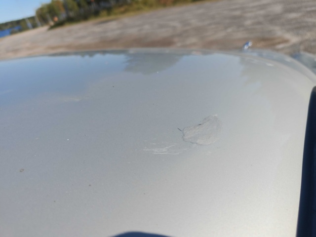 1485769-15 Jaguar Mark 2 2.4 XK, 120hk -1964