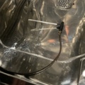 1473655-8 Rationalugn -  selfcooking center 101  WE