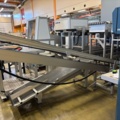 1573143-10 Packing machine with sorting system and roller conveyors - Emotions PSF3500