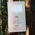 1296107-7 Computer iMac M1 (2021) Ram 8GB, SSD 256GB green