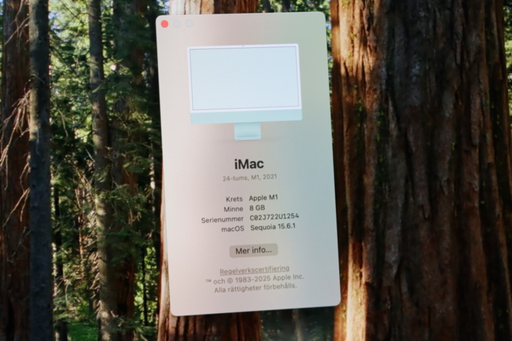 1296107-7 Computer iMac M1 (2021) Ram 8GB, SSD 256GB green
