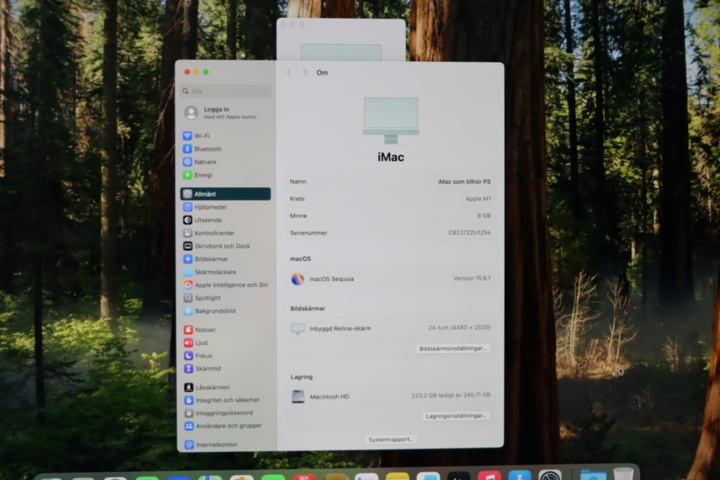 1296107-8 Computer iMac M1 (2021) Ram 8GB, SSD 256GB green