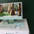 1296107-13 Computer iMac M1 (2021) Ram 8GB, SSD 256GB green