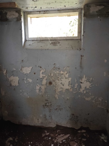 1484526-72 Property Arjeplog Bocken 3 Renovation project