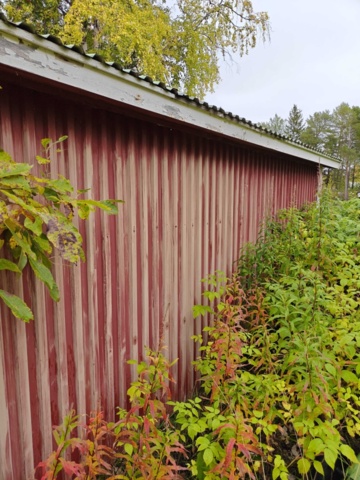1484526-81 Property Arjeplog Bocken 3 Renovation project