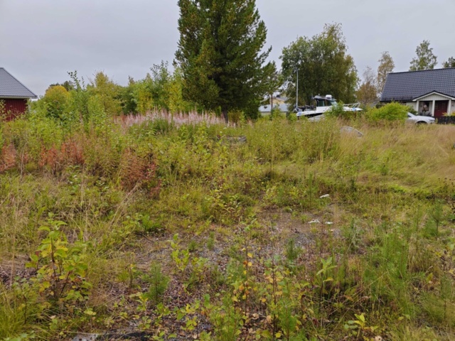 1484526-86 Property Arjeplog Bocken 3 Renovation project