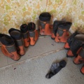 1485785-5 Helmets and safety boots