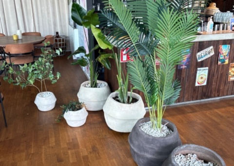 Artificial plants with pots 5 pcs