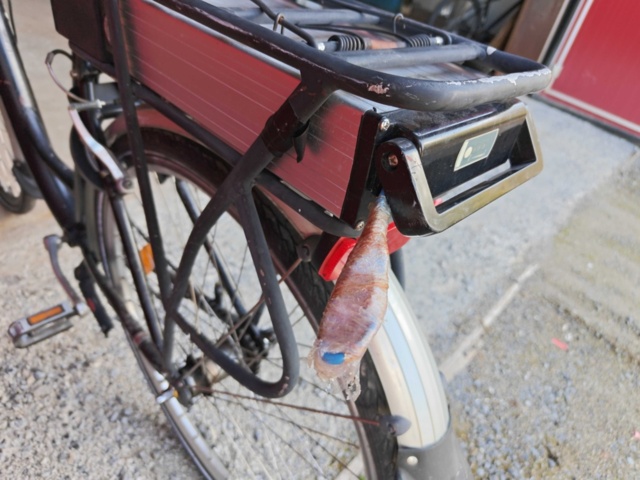 1485795-19 Lot of bicycles and electric bicycles, total 30 pcs (repair items)