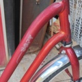 1485795-33 Lot of bicycles and electric bicycles, total 30 pcs (repair items)