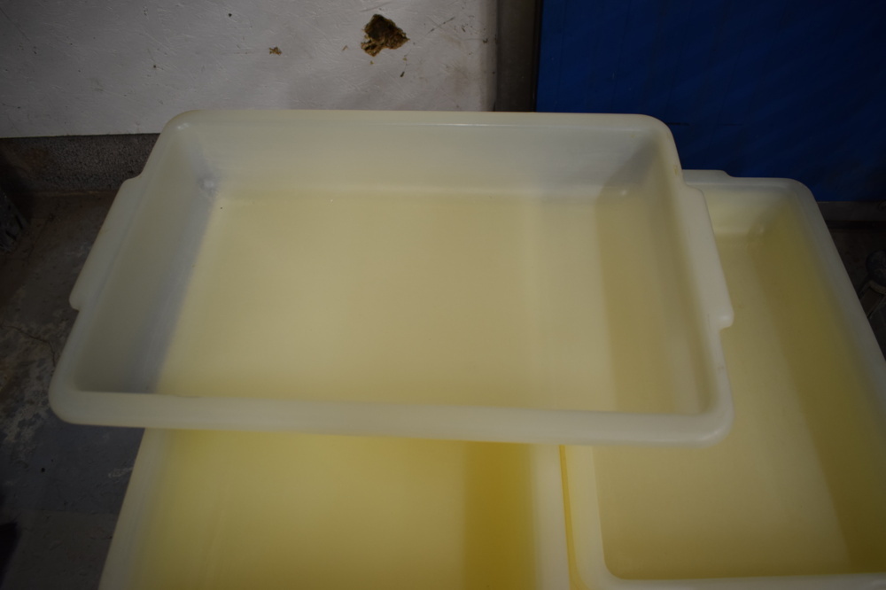 1452711-2 Plastic dough boxes approx. 27 pcs.
