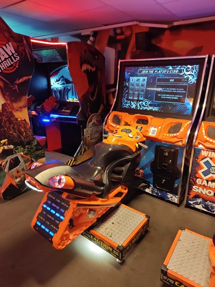 1484549-1 Arcade game Snow Cross