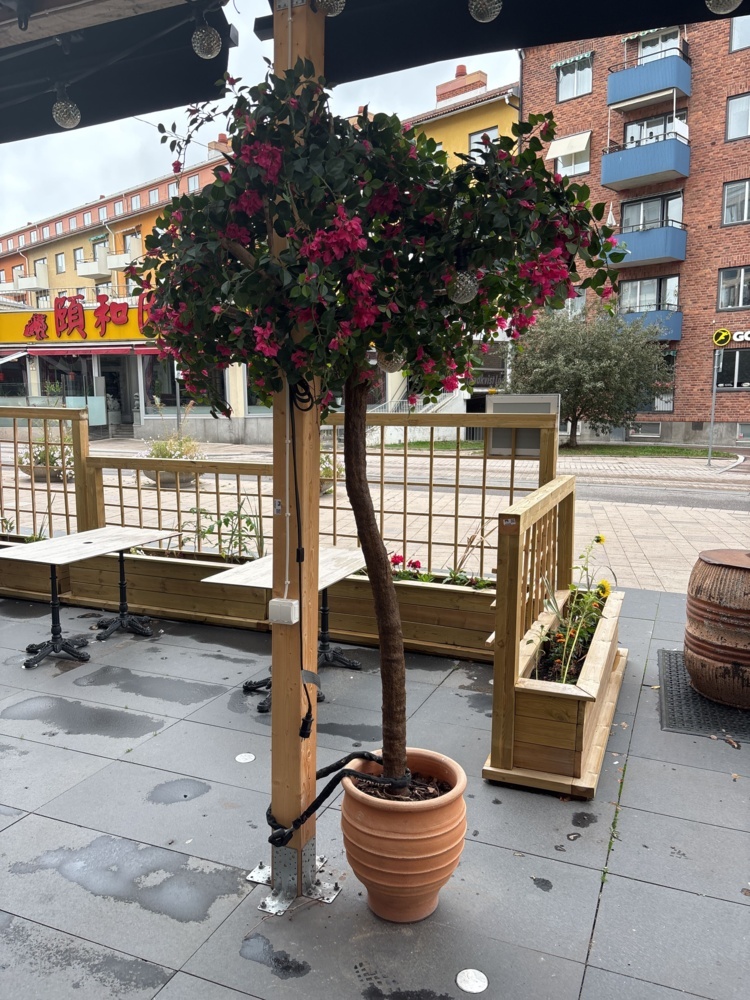 1425953-1 Restaurant interior - Outdoor seating