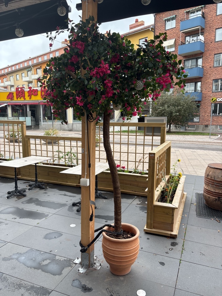 1425953-2 Restaurant interior - Outdoor seating