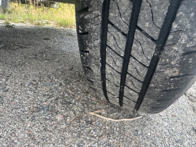 1406084-6 Släpkärra - BÅL