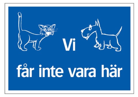 Information signs, 30 pcs - Systemtext, We are not allowed here, 297 × 210 mm