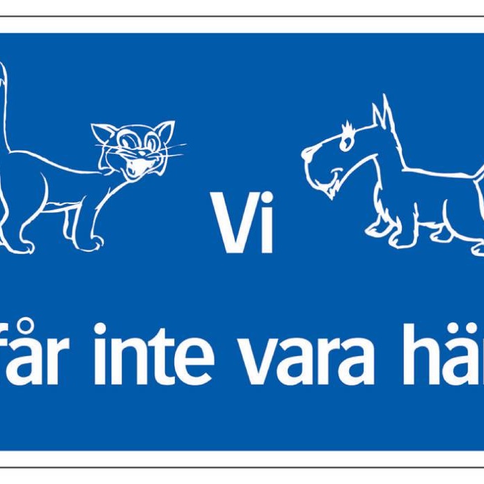 1584624-1 Information signs, 30 pcs - Systemtext, We are not allowed here, 297 × 210 mm