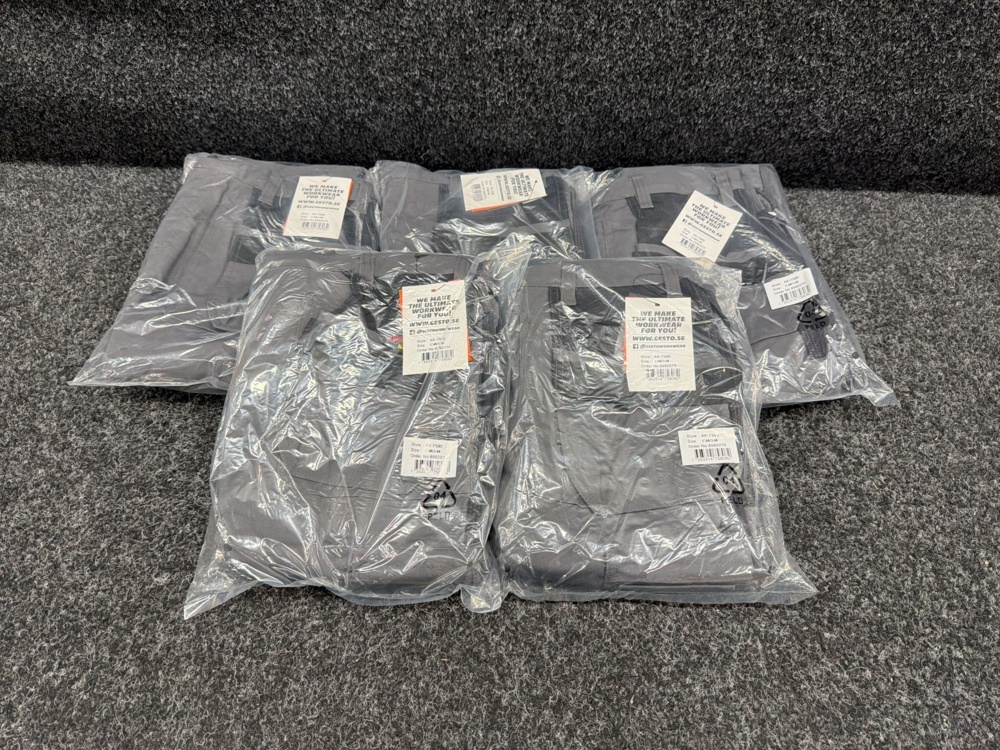 1584838-2 5 pcs Craftsman trousers Gesto AK-7580