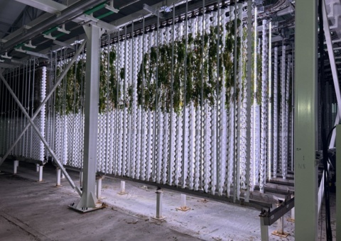 Vertical farming facility