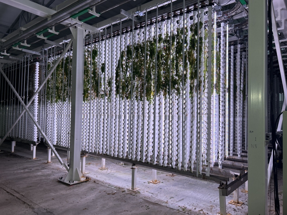 1585225-1 Vertical farming facility