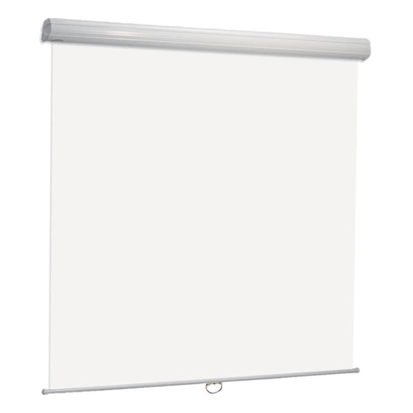 1582366-1 Projection screen - Euroscreen Diplomat Soft & Quiet, 220 × 220 cm