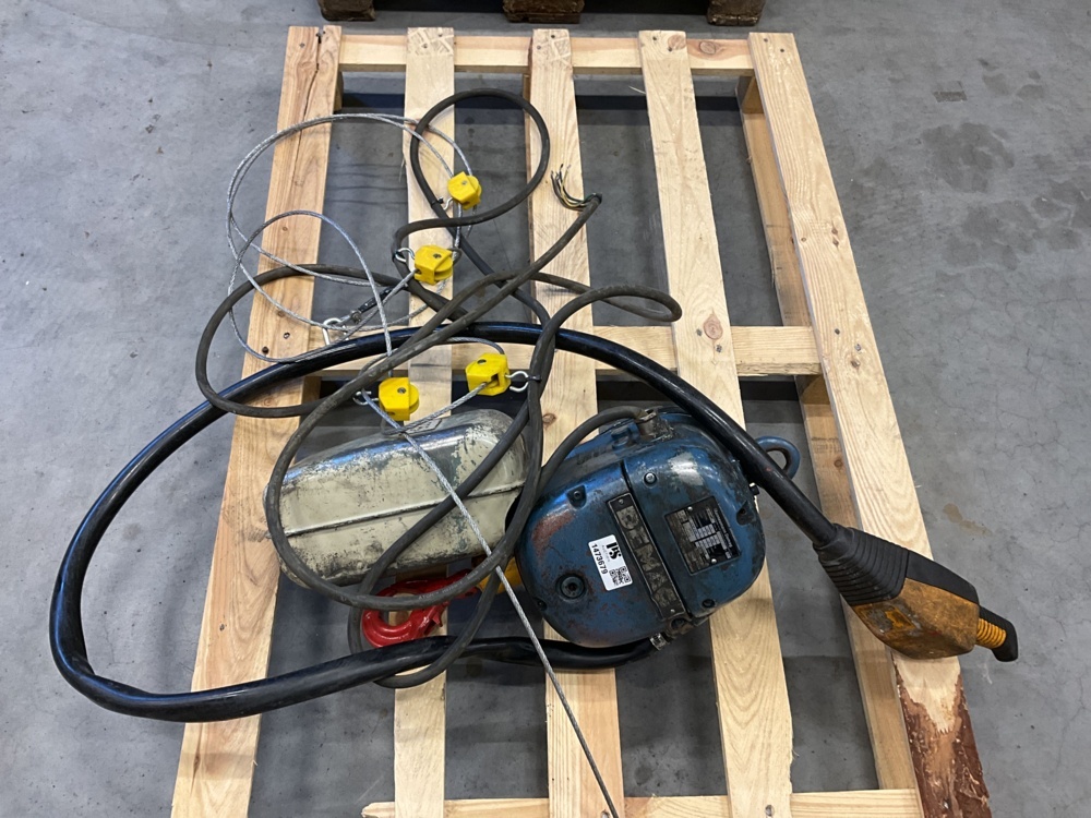 1473679-1 Telfer - DEMAG 250kg