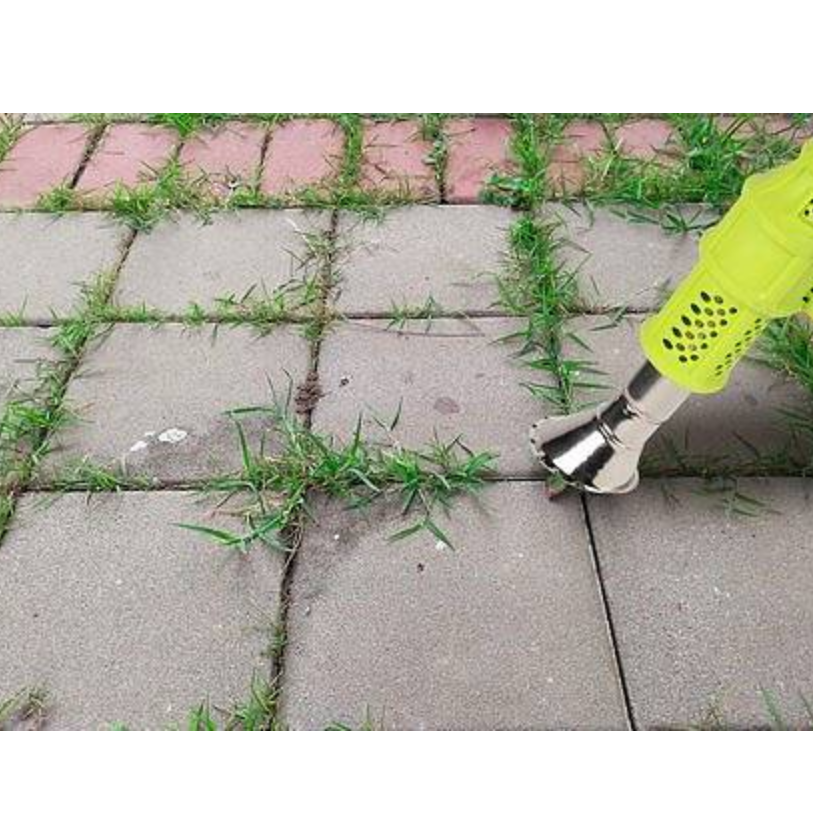 1585612-1 Weed burner - electric