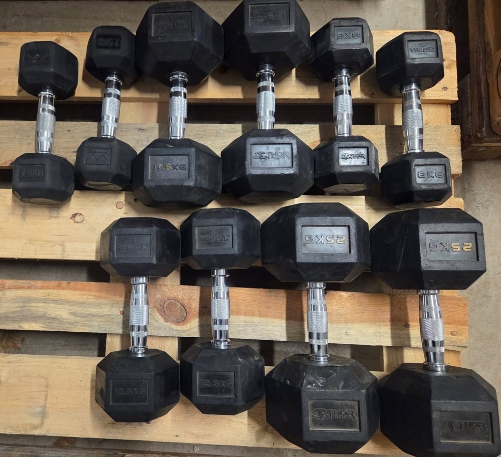 1563432-1 Hantlar - Thor Fitness