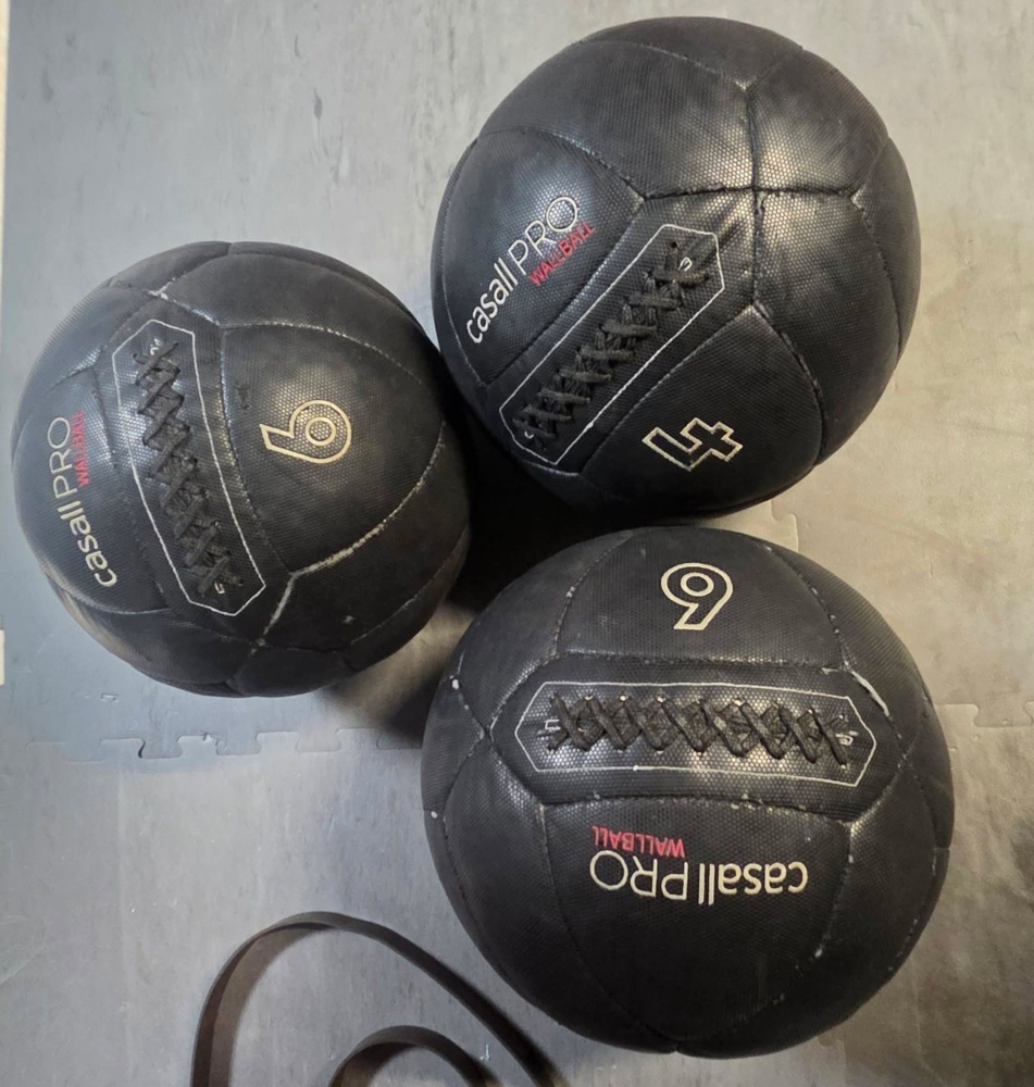 1563448-1 Wallballs - Casall PRO Wallball