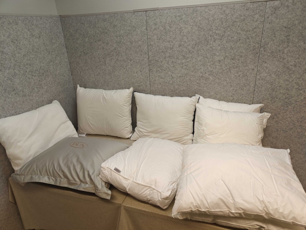 1564882-1 Lot of pillows
