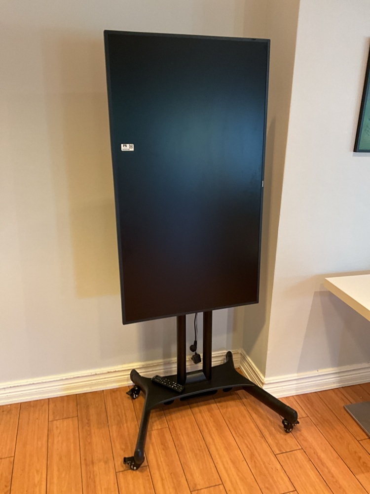 1473745-1 Picture/TV screen on wheels - Philips