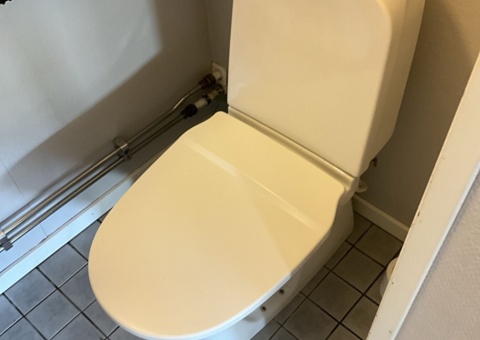 Toilet seat and sink