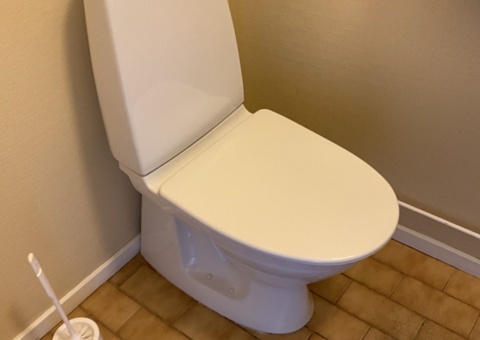 Toilet seat - IFÖ sign and sink