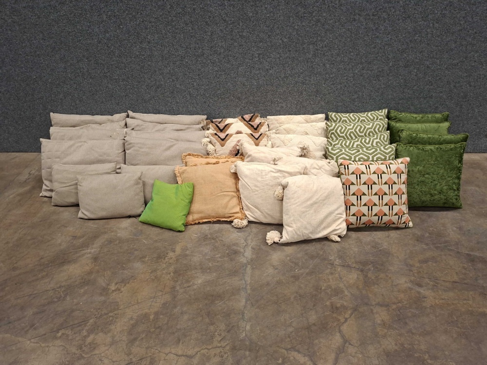 1587501-1 Assortment of pillows