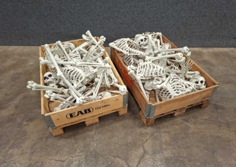 about 10 pieces of skelet