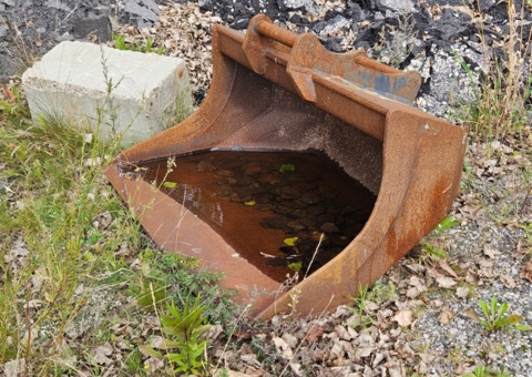 Grävskopa