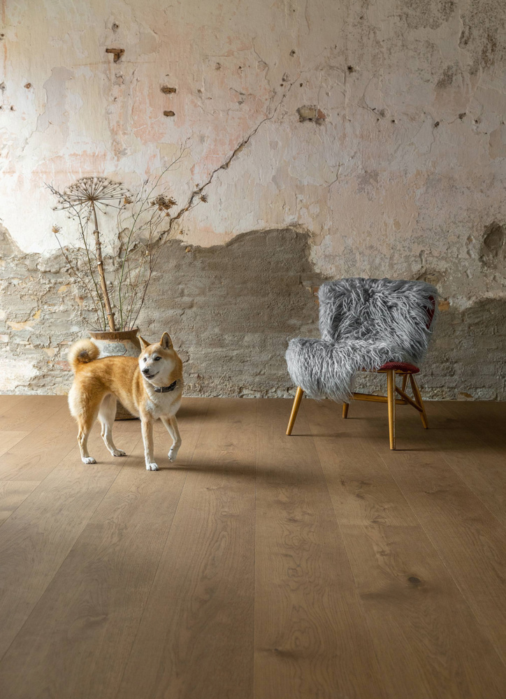 1590164-2 Hardened Oak Dark Brown, 92 sq m, click flooring 5G, XXL, 1-strip