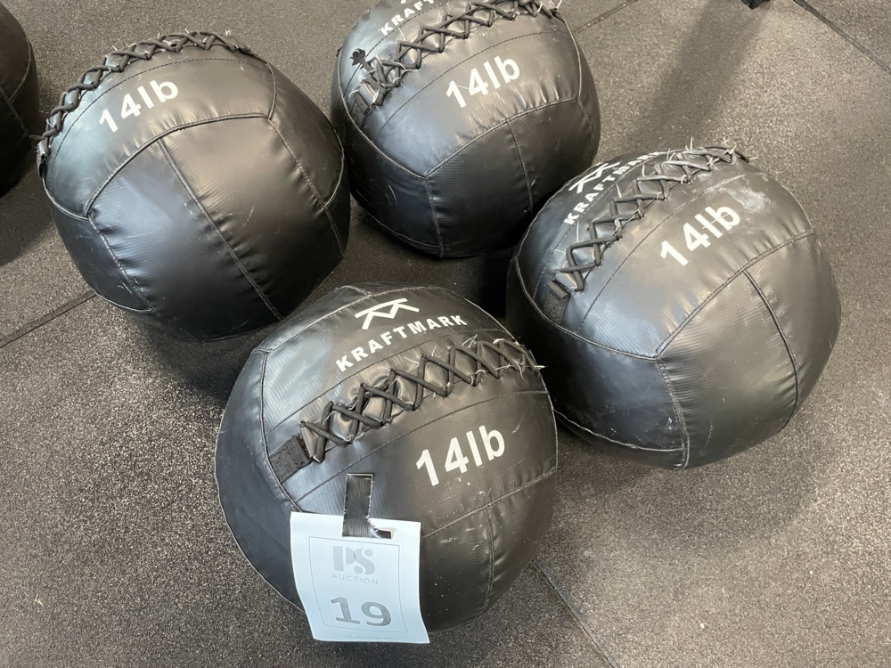 1590219-1 Wallballs 14 lb, 6 kg, Kraftmark, 4 pcs