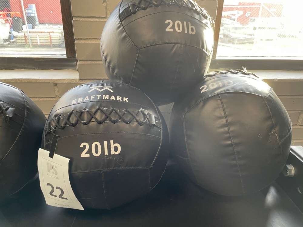 1590222-2 Wallballs 20 lb, Kraftmark, 6 pcs