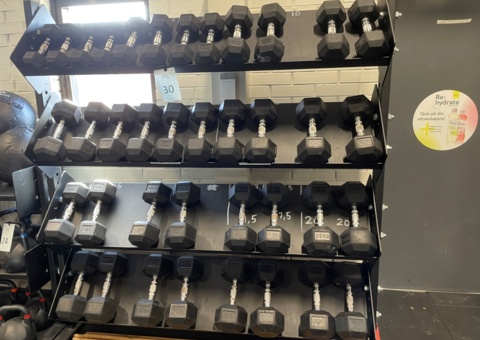 Rack with rubber-coated dumbbells