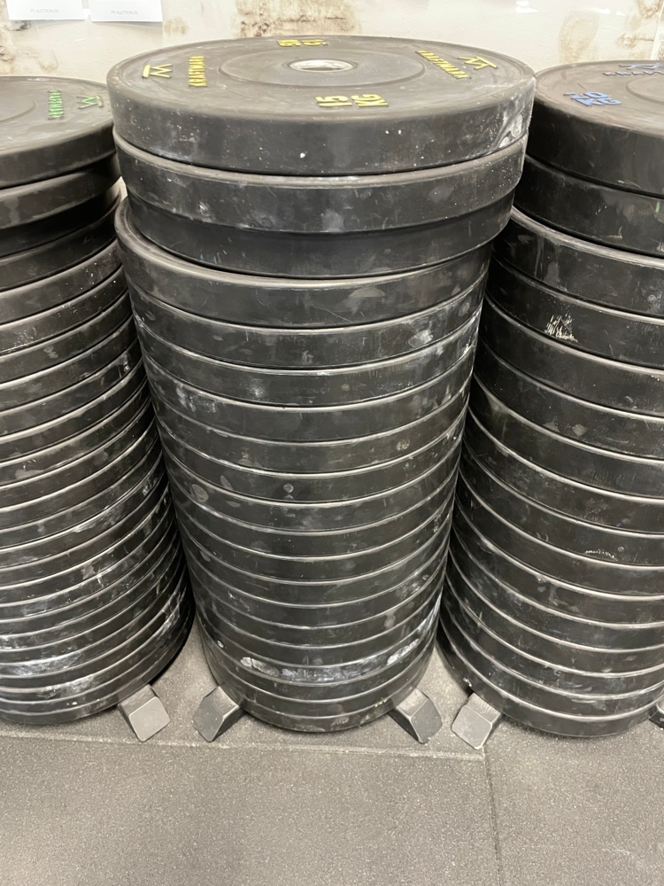 1590249-2 Weight Plates Bumper Training 15 Kg, 4 pcs - Kraftmark