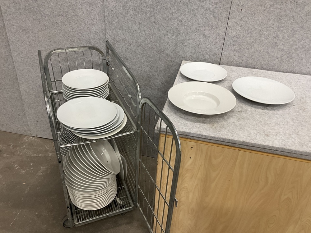 1473971-1 Party with porcelain