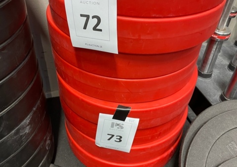 Technical weight 2.5 Kg, 4 pcs - Power plant