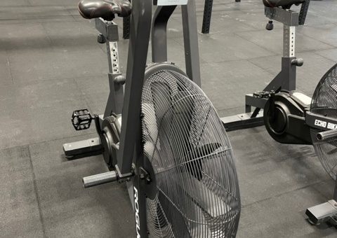 ROGUE ECHO BIKE