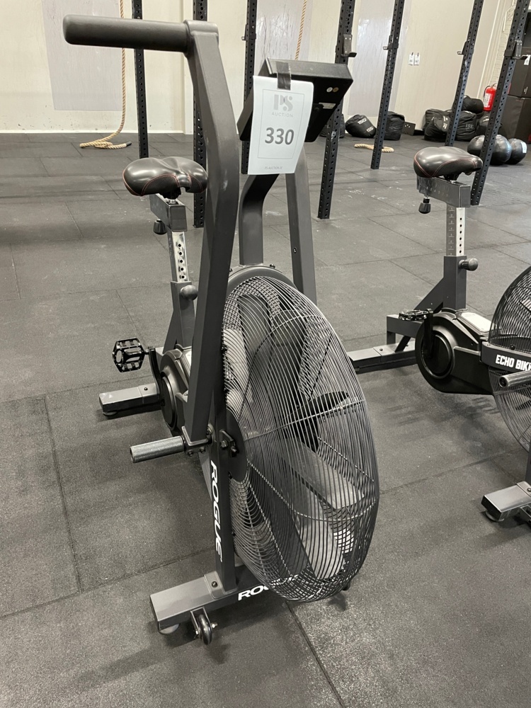 1590330-1 ROGUE ECHO BIKE