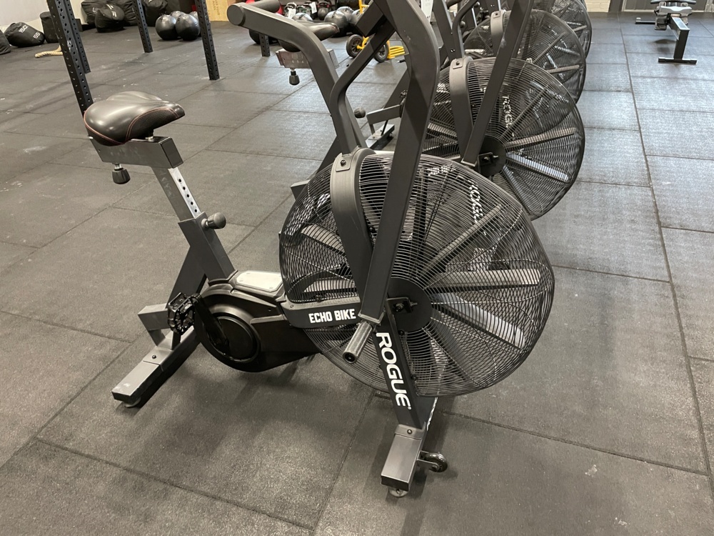 1590330-2 ROGUE ECHO BIKE