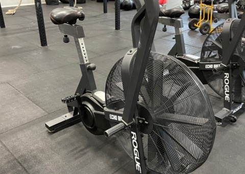 ROGUE ECHO BIKE