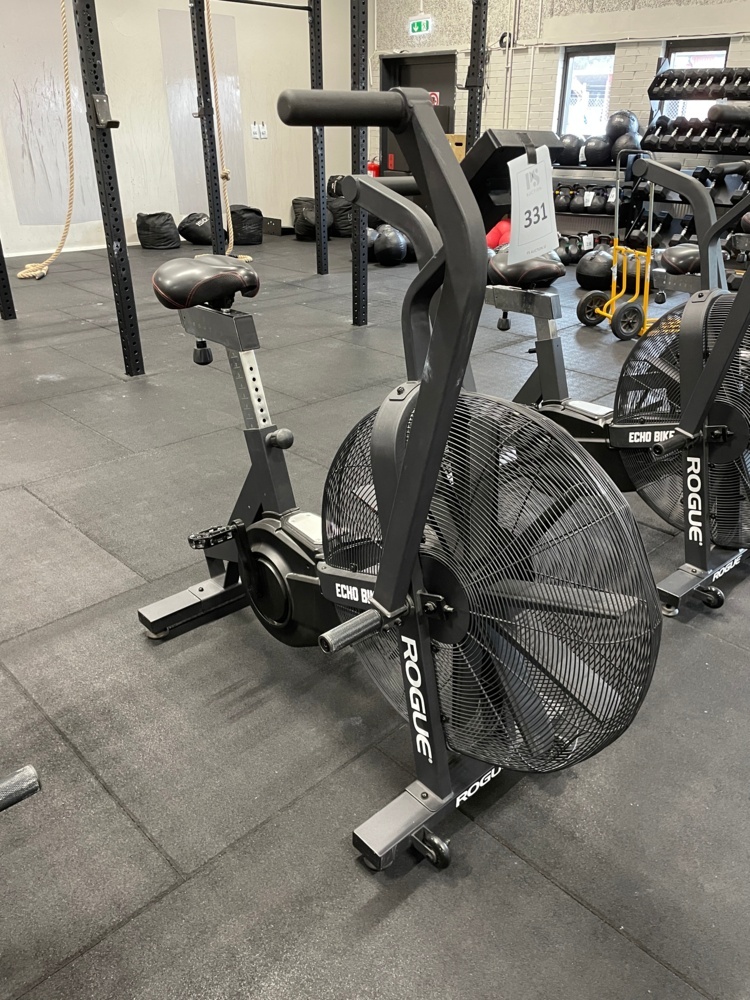 1590331-1 ROGUE ECHO BIKE