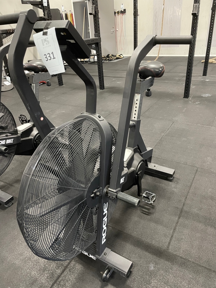 1590331-2 ROGUE ECHO BIKE